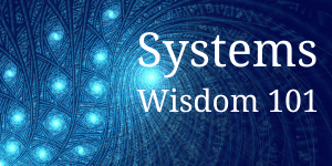 Systems Wisdom 101 image showing a fractal