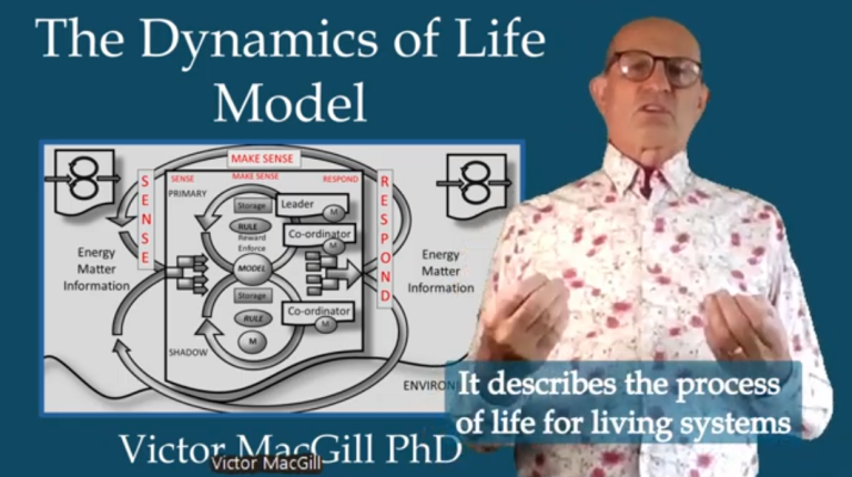 Dynamics of Video playlist on Victor MacGill Youtube channel