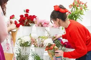 Game Theory and the Adaptive Cycle: